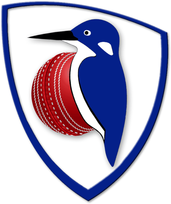 Cricket Clipart Cricket Coach - Emblem (640x700), Png Download