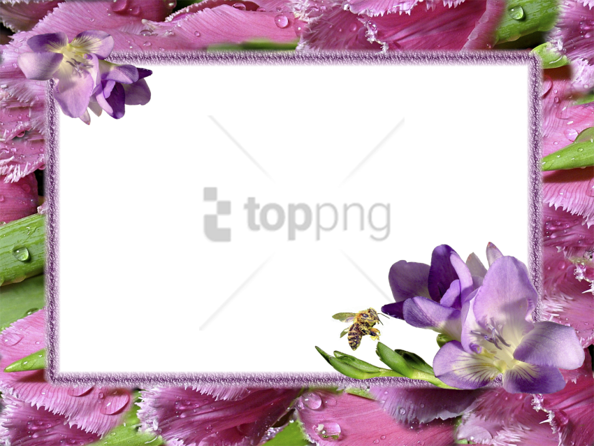 Free Png Flower Photo Frames Hd Png Image With Transparent - Frame Png (850x638), Png Download