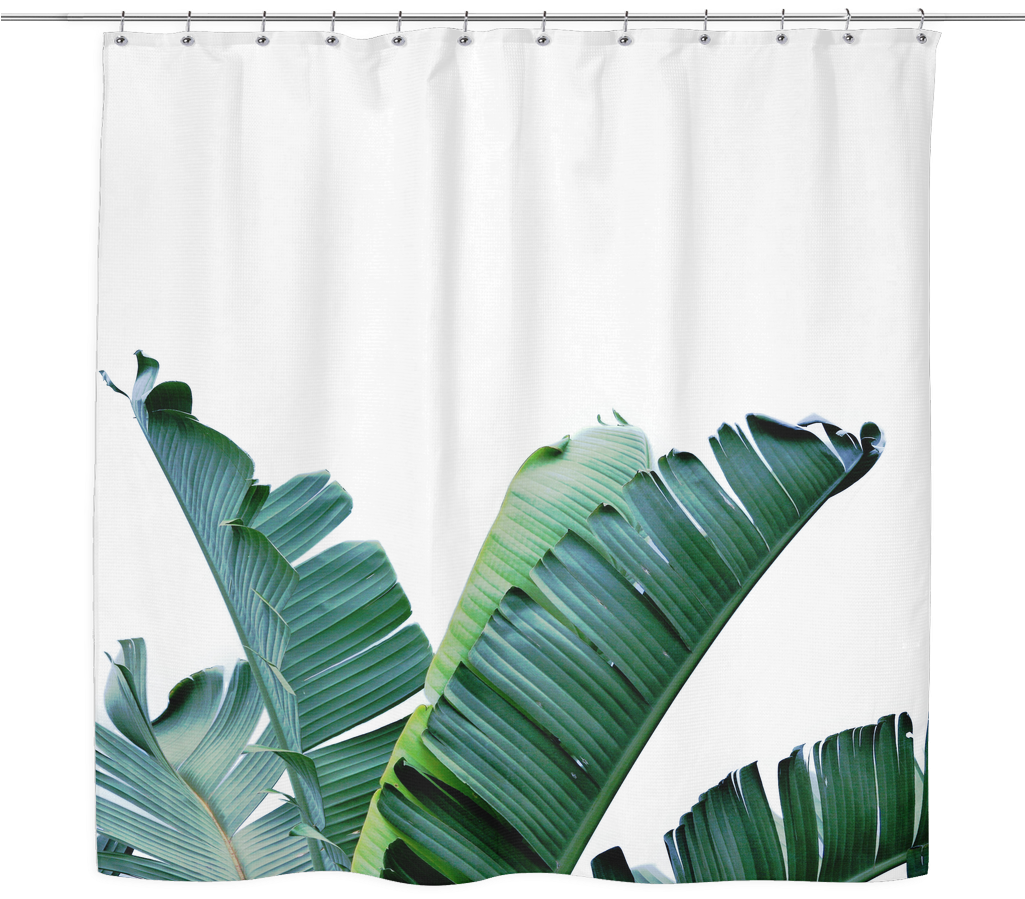 Banana Leaf Shower Curtain - Banana Leaf Art (1024x1024), Png Download
