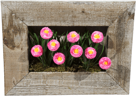 Silk English Daisy Frame • $24 - Common Peony (511x611), Png Download