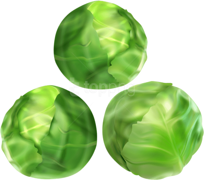 Download Brussels Sprouts Png Images Background - Brussels Sprout Clipart Png (850x750), Png Download