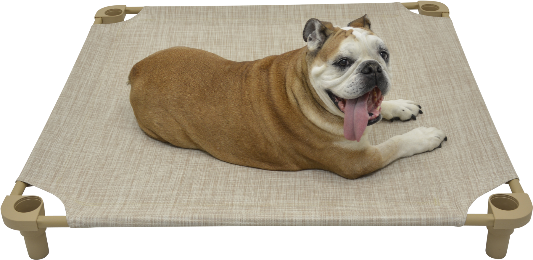 40×40 Premium Tweed Cot - Olde English Bulldogge (2000x2000), Png Download