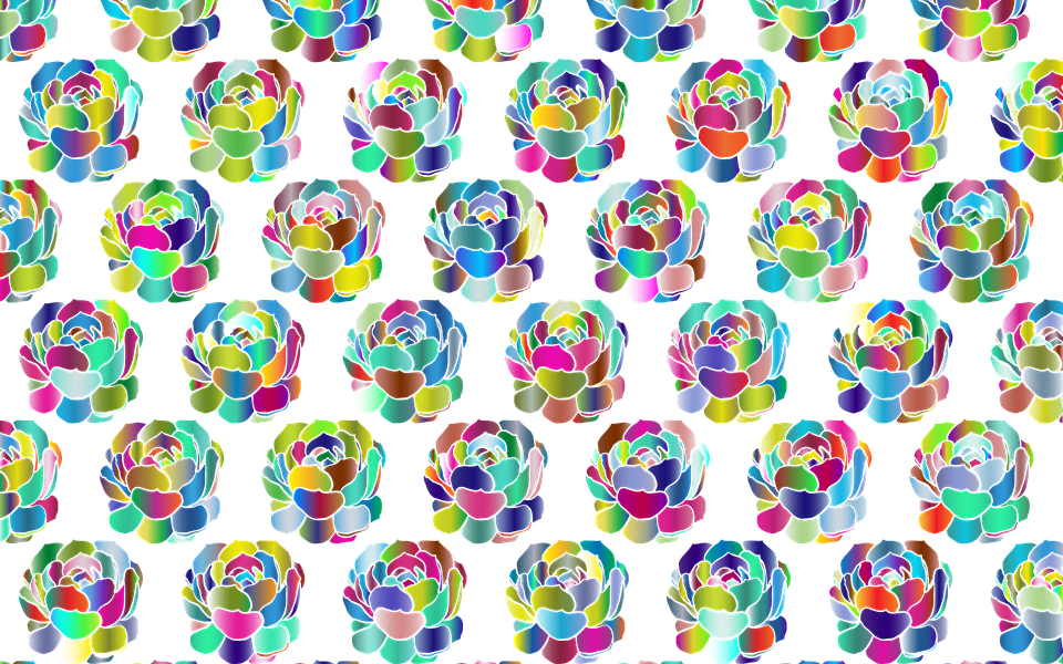 Flowers Floral Pattern Decorative Ornamental - Pattern (960x600), Png Download