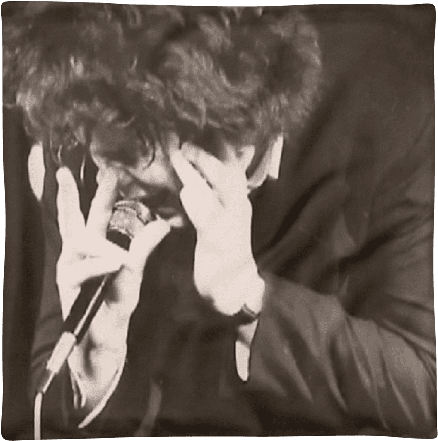 "live And Screaming" Wet Taxis Cushion 18" Home Decor - Wet Taxis (1000x1000), Png Download