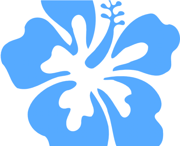 640 X 480 16 - Hibiscus Clip Art (640x480), Png Download