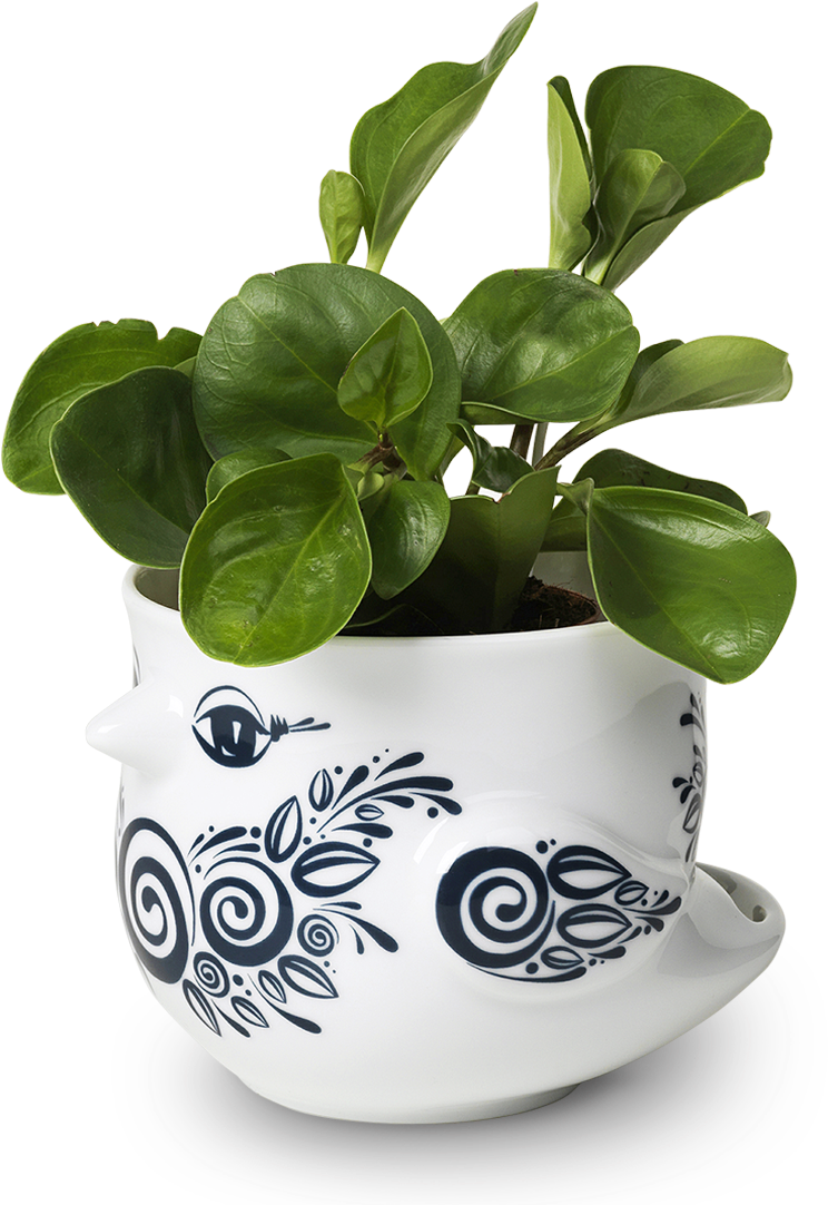 Birds Flowerpot Blue Oe14 Cm Birds - Bjørn Wiinblad Birds Potteskjuler (1200x1200), Png Download