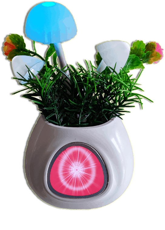 Wall Plug Flower Pot - Flowerpot (800x800), Png Download