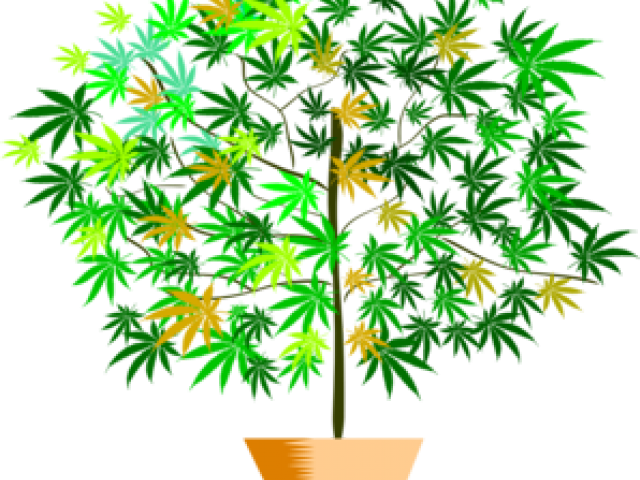 Pot Plant Clipart Flower Pot (640x480), Png Download