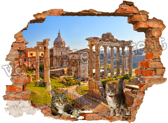 Roman Forum (700x825), Png Download