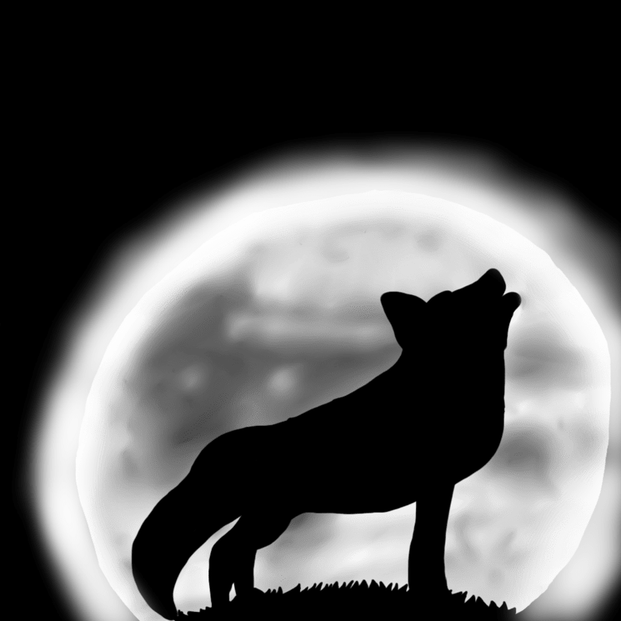 Wolf Howling At Moon - Wolf Howling At The Moon Cartoon (894x894), Png Download