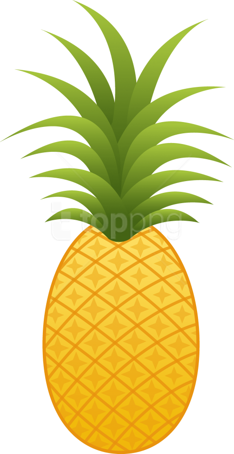 Download Pinapple Clipart Clipart Png Photo - Pineapple Clipart Png (481x930), Png Download