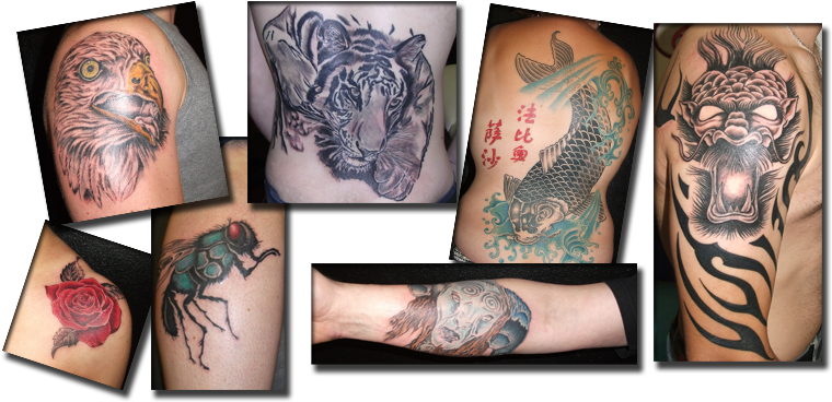 Artisanal Tatoo Tatoo2 - Tattoo (790x400), Png Download