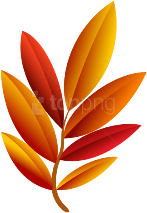 Free Png Download Autumn Leaf Clipart Png Photo Png - Heliconia (480x691), Png Download