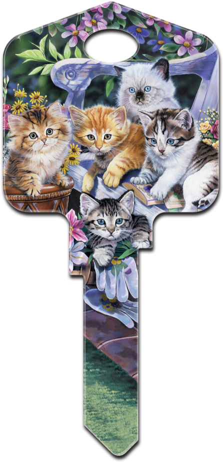 Ac1- Kittens - Squitten (480x959), Png Download