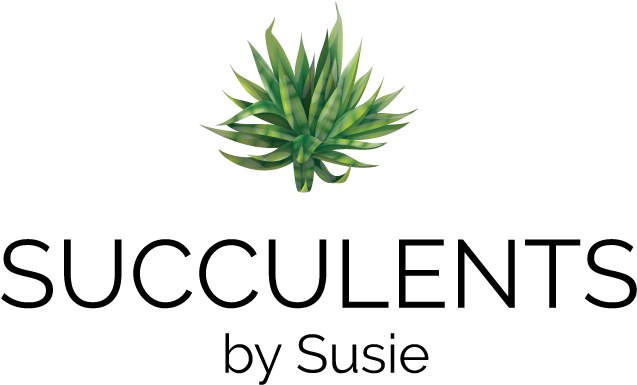 Agave (1020x468), Png Download