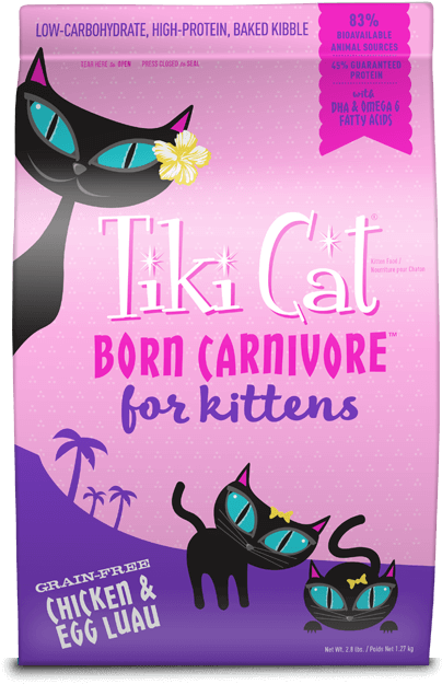 Previous - Next - Flyer (450x725), Png Download