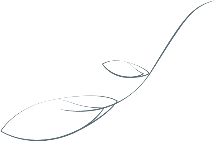 Line Art (697x509), Png Download