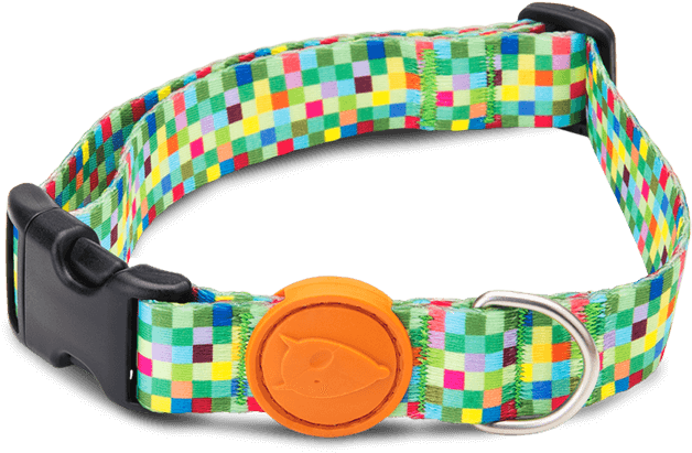 Previousnext - Belt (720x481), Png Download