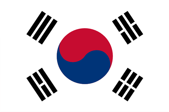South Korean Flag Medium - Numa Numa All Languages 77 (570x600), Png Download