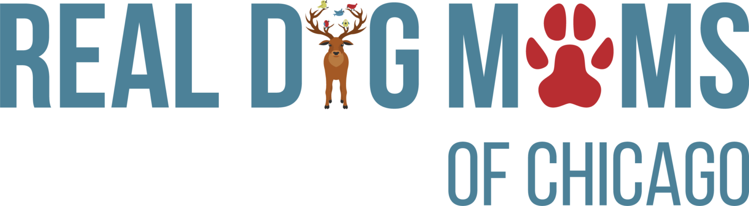 Real Dog Moms Of Chicago - Bored Of Being Bored Because (1500x413), Png Download