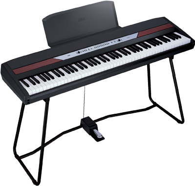 Korg Digital Piano - Korg Piano Sp 250 (1000x400), Png Download