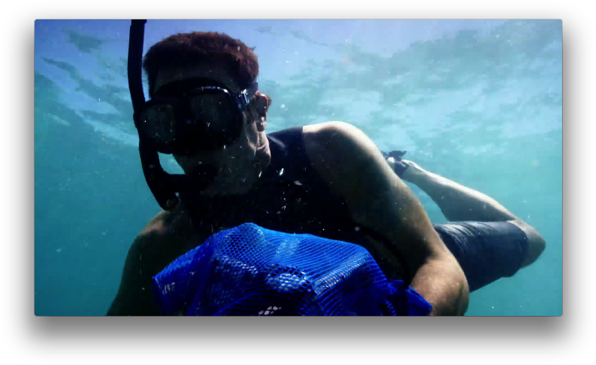 Hawaii Five-0verified Account - Underwater (877x543), Png Download