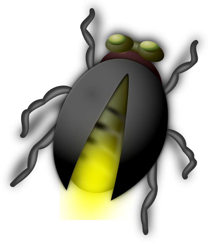800 X 800 2 - Bug Clip Art (800x800), Png Download
