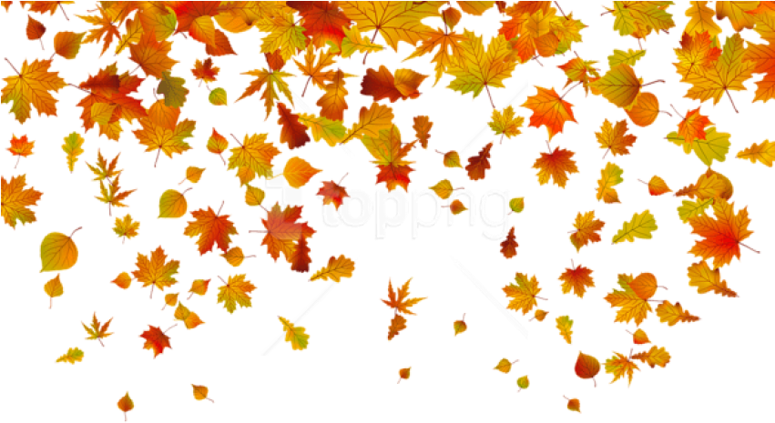 Free Png Download Transparent Fall Leaves Clipart Png - Transparent Falling Leaves Clipart (850x472), Png Download