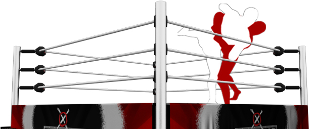 Professional Boxing (918x421), Png Download