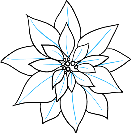 How To Draw Poinsettia - Poinsettia Drawing Step By Step Easy (680x678), Png Download