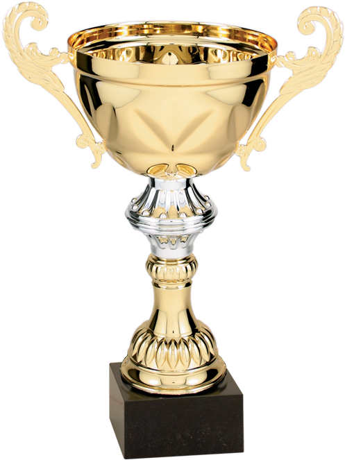 Mixed Metal Cup - Decade Awards Cup Trophy (777x777), Png Download