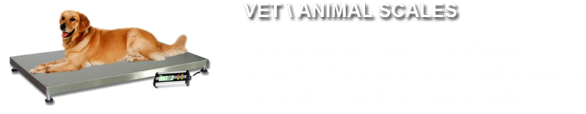 Slide2 - Sunlounger (980x320), Png Download