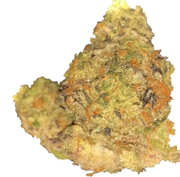 Buy Double Cup - Fish (750x749), Png Download