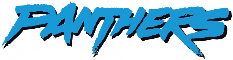Carolina Panthers Iron On Stickers And Peel-off Decals - Carolina Panthers (750x930), Png Download