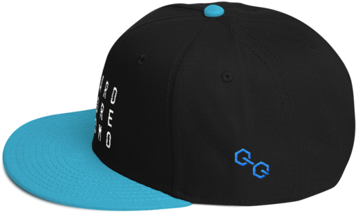 Hardcore Homo Snapback Hat - Baseball Cap (600x600), Png Download