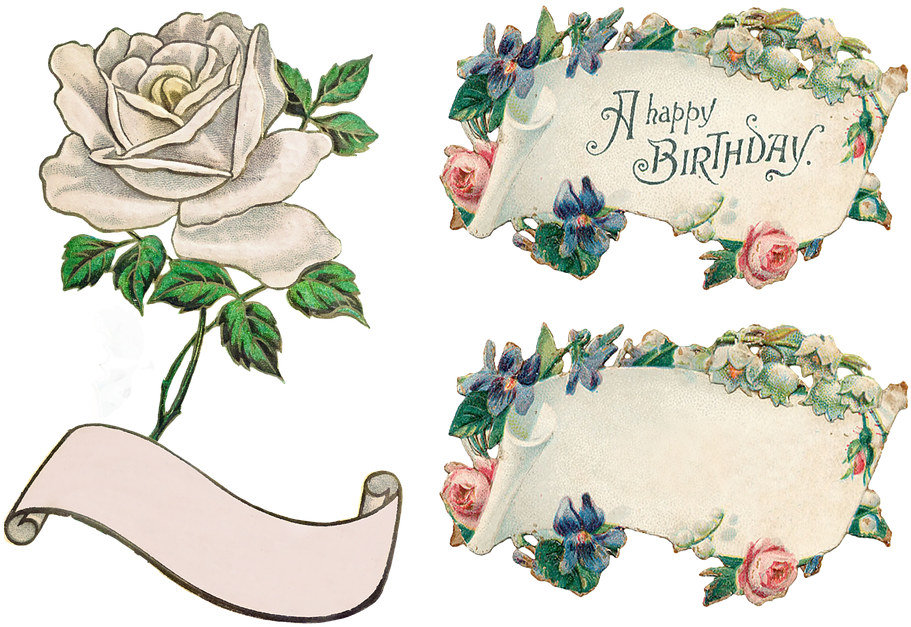 Banner Flowers Rose Clip Art Transparent Isolated - Birthday (960x678), Png Download