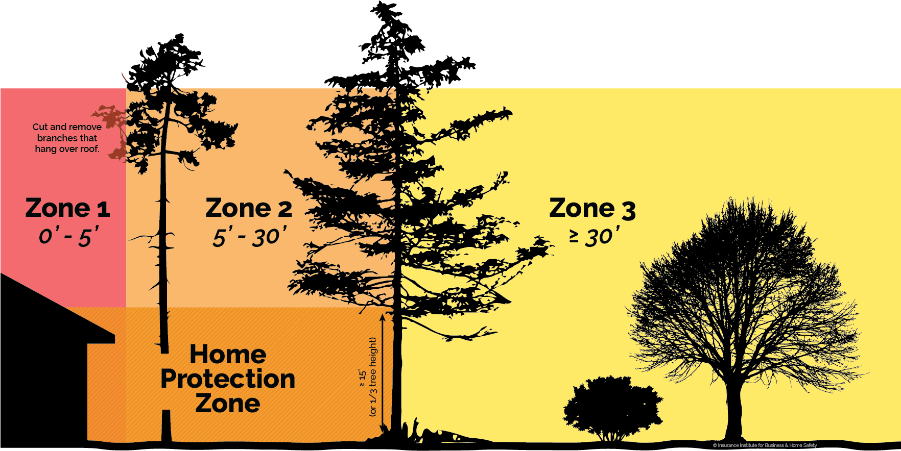 Minimize The Threat Of Fire On Your Property By Reducing - Vetores De Arvores (1763x899), Png Download