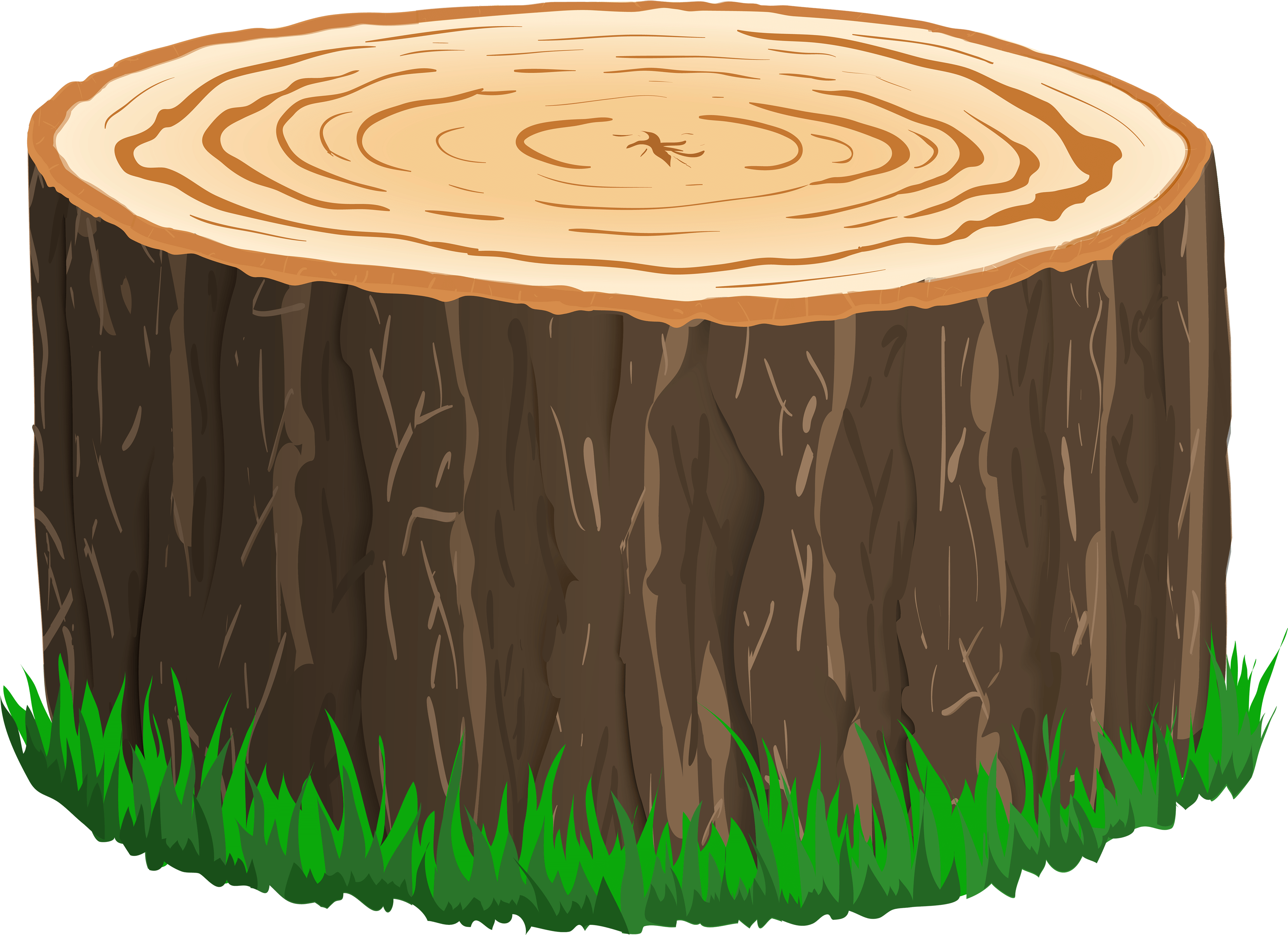 Tree Stump Clipart Image - Tree Trunk Clipart Png (4000x2921), Png Download