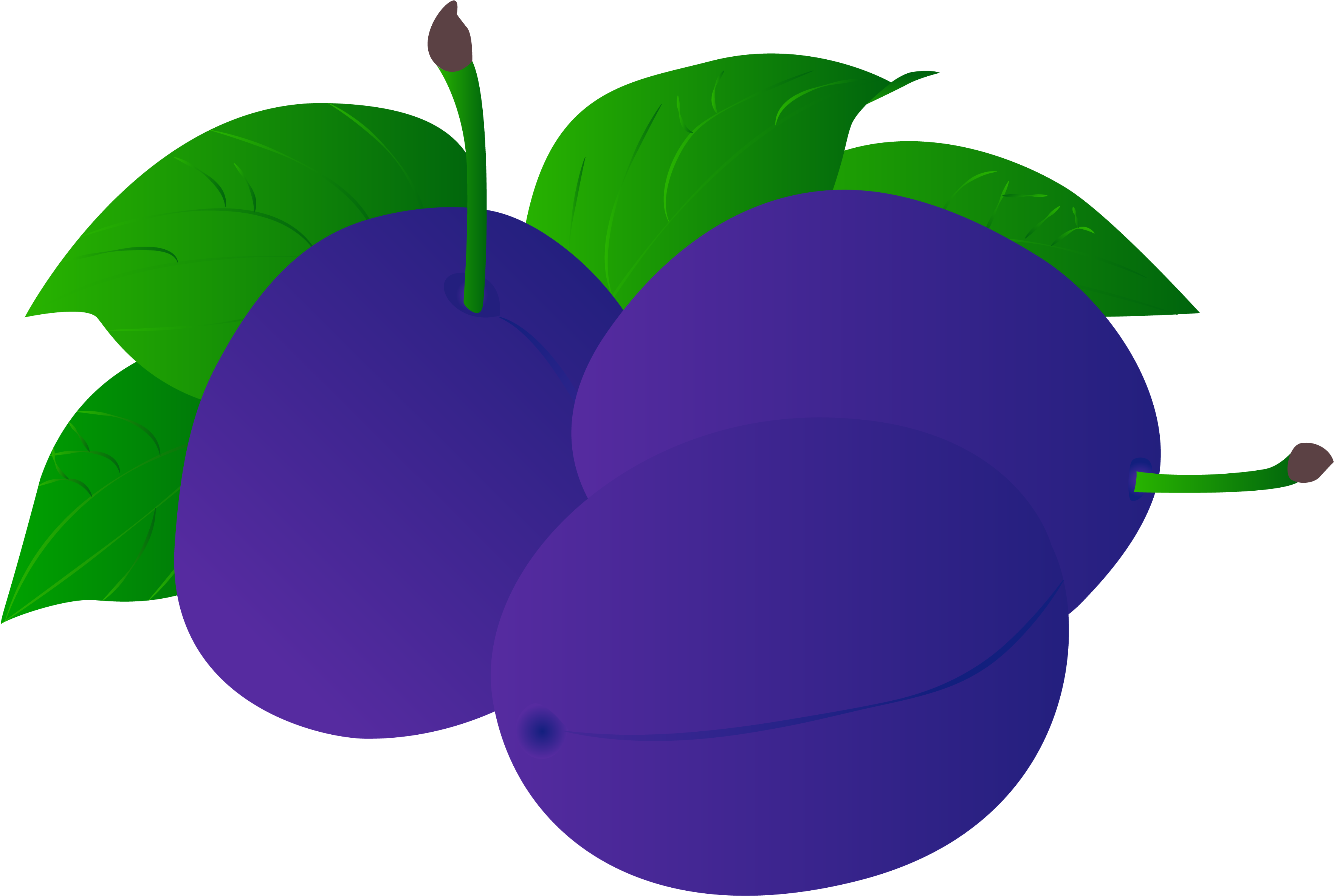 Fruit Illustration Food Png And Vector Image - Seedless Fruit (4167x4167), Png Download