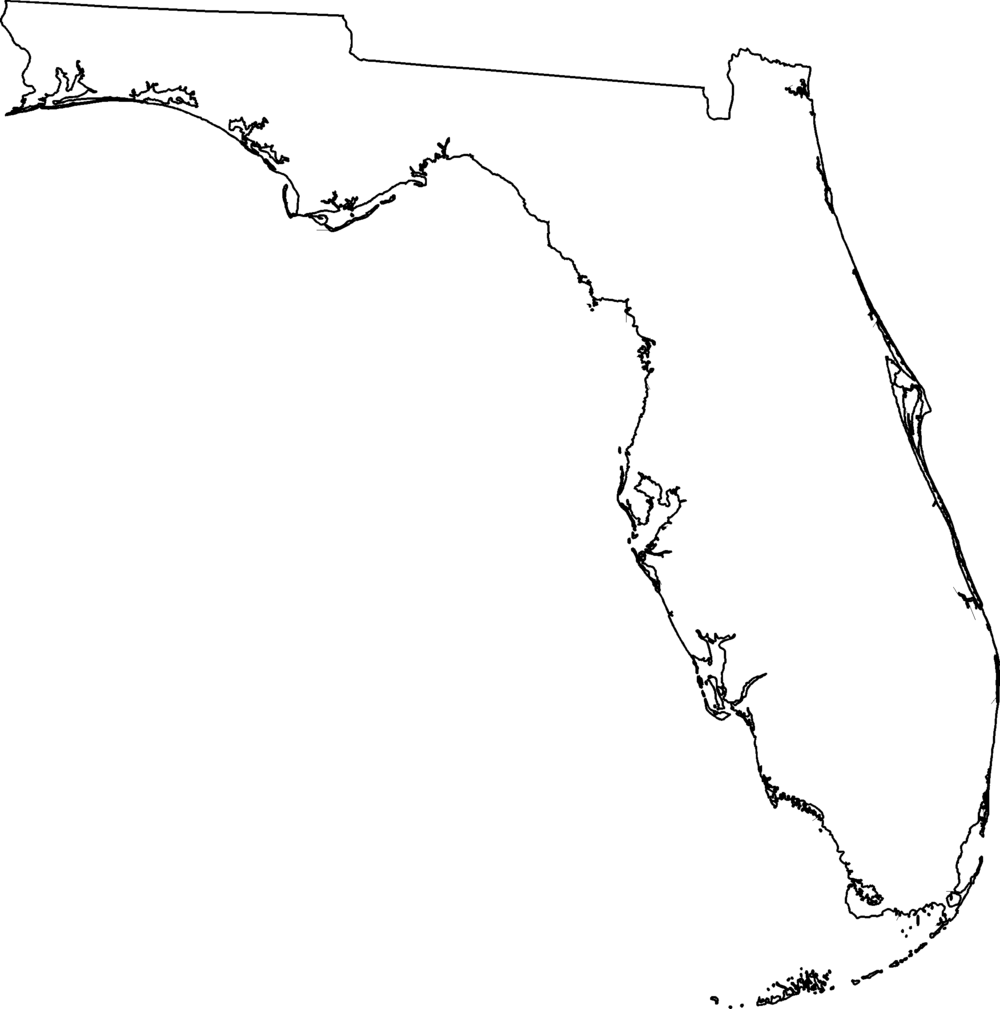 Florida Shape Png - Florida Outline (1000x1009), Png Download