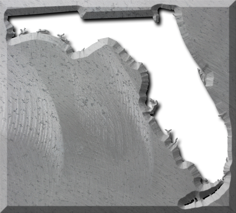 A Florida Map With The Map Area Carved Out Of A Rough - Monochrome (768x692), Png Download