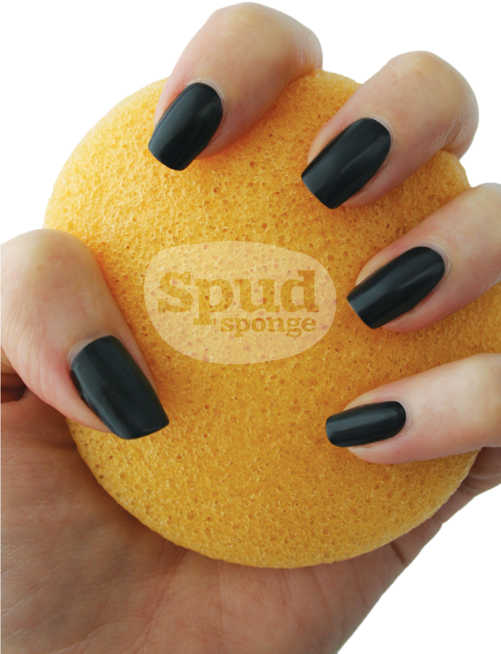 Turmeric Face Sponge - Nail Polish (1000x1500), Png Download