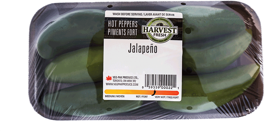 Leek (1024x682), Png Download