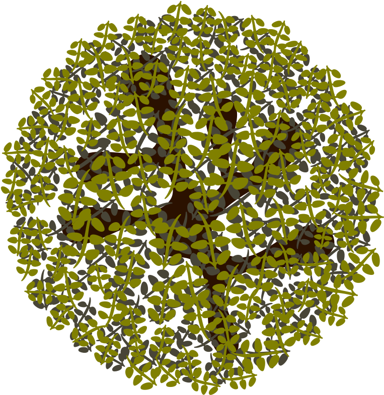 This Png File Is About Landscaping , Tree , Nature - Illustration (800x800), Png Download