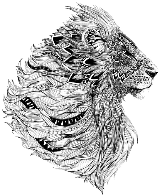 Tattoo Lion Flash Sleeve Free Download Image Clipart - Tribal African Lion Tattoo (564x669), Png Download