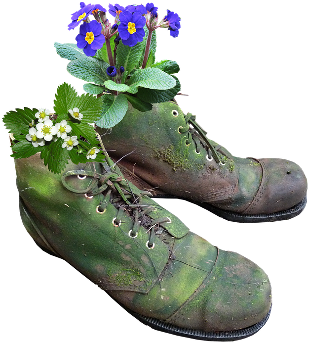 Planter, Flowers, Old Boots, Moss - Hanging Hiking Boots Graphics (657x720), Png Download