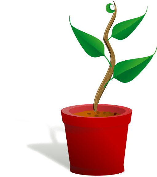 Growing Plant Png Free Download - Getting To Know Plants (600x574), Png Download