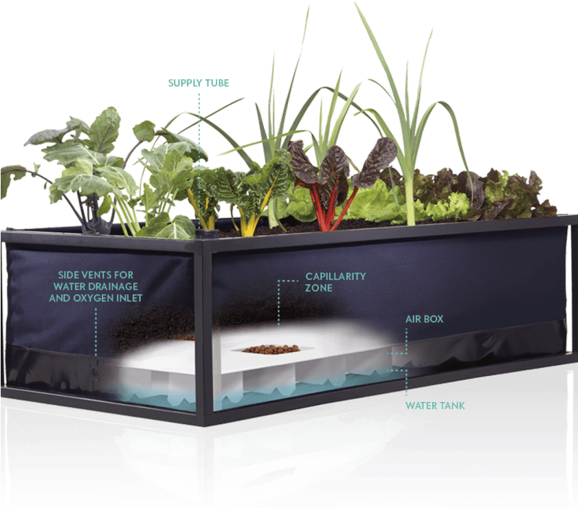 Prev - Urban Agriculture (840x840), Png Download