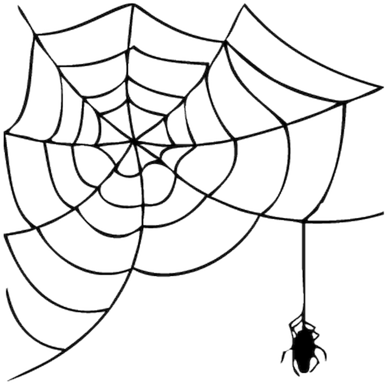 Halloween Spider Web Clipart (800x800), Png Download