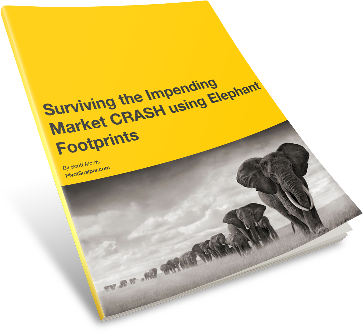 Elephant-footprints - Turkey (1270x1183), Png Download